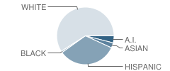 Carson Middle School Student Race Distribution