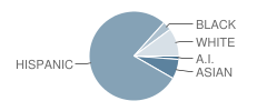 Agnes Risley Elementary School Student Race Distribution