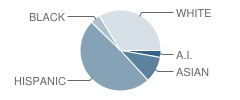 Earl Wooster High School Student Race Distribution