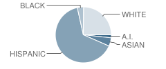 Lincoln Park Elementary School Student Race Distribution