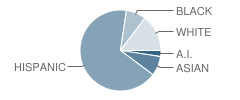 Rita Cannan Elementary School Student Race Distribution