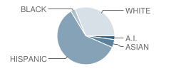 Sparks Middle School Student Race Distribution