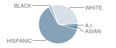 Sun Valley Elementary School Student Race Distribution