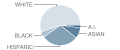 Mount Rose Elementary School Student Race Distribution