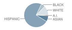 Bernice Mathews Elementary School Student Race Distribution