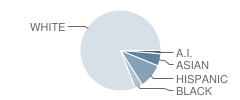 Ed Van Gorder Elementary School Student Race Distribution