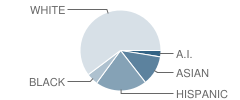 Double Diamond Elementary School Student Race Distribution