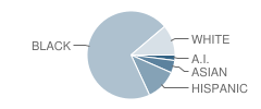 Philip J Schuyler Achievement Academy Student Race Distribution