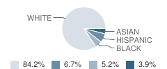 Union Vale Middle School Student Race Distribution