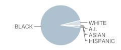 Harvey Austin School #97 Student Race Distribution