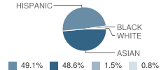 Flushing International High School Student Race Distribution