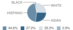 P.S. 234 School Student Race Distribution