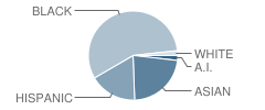 P.S. 268 School Student Race Distribution