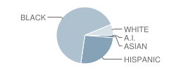 Dr. Freddie Thomas High School Student Race Distribution