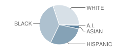 Urban Academy Laboratory High School Student Race Distribution