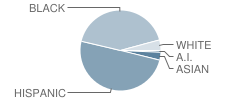 Urban Assembly Academy of Government and Law Student Race Distribution