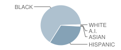 Wadleigh Arts High School Student Race Distribution