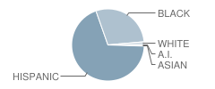 P.S. 73-Bronx School Student Race Distribution