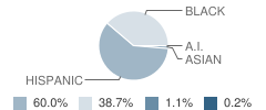 Bronx Leadership Academy Ii Student Race Distribution