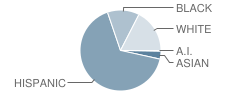 P.S. 124 Silas B. Dutcher School Student Race Distribution