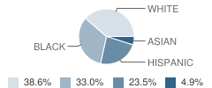 P.S. 261 Philip Livingston School Student Race Distribution