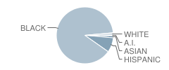 P.S. 181 Brooklyn School Student Race Distribution