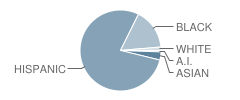 P.S. 274 Kosciusko School Student Race Distribution