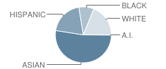 P.S. 31 Bayside School Student Race Distribution