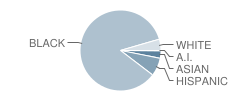 P.S. 30 School Student Race Distribution