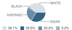 P.S. 139 Rego Park School Student Race Distribution