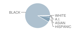 Humanities and the Arts Magnet High School Student Race Distribution