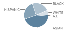 P.S. 33 Edward M. Funk School Student Race Distribution