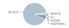 Cynthia Jenkins School Student Race Distribution