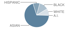 P.S. 131 Abigail Adams School Student Race Distribution