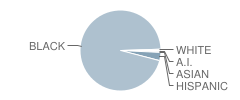 P.S. 132 Ralph Bunche School Student Race Distribution
