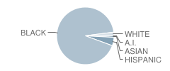P.S. 136 Roy Wilkins School Student Race Distribution