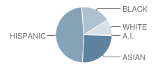 P.S. 112 Dutch Kills School Student Race Distribution