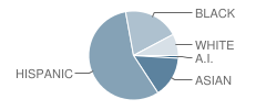 Albert Shanker School for Visual and Performing Arts Student Race Distribution