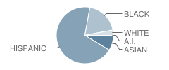 P.S. 127 Aerospace Science Magnet School Student Race Distribution