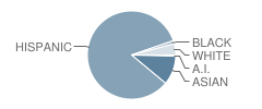 P.S. 149 Christa Mcauliffe School Student Race Distribution