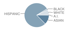 P.S. 212 School Student Race Distribution