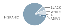 P.S. 17 Henry D. Woodworth School Student Race Distribution