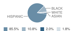 P.S. 120 Carlos Tapia School Student Race Distribution