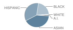 P.S. 214 Michael Friedsam School Student Race Distribution