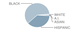 P.S. 328 Phyllis Wheatley School Student Race Distribution