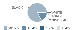 Essence School Student Race Distribution