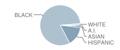 P.S. 137 Rachael Jean Mitchell School Student Race Distribution