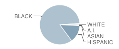 P.S. 178 Saint Clair Mckelway School Student Race Distribution