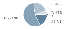 Flushing High School Student Race Distribution