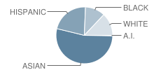 P.S. 154 Queens School Student Race Distribution